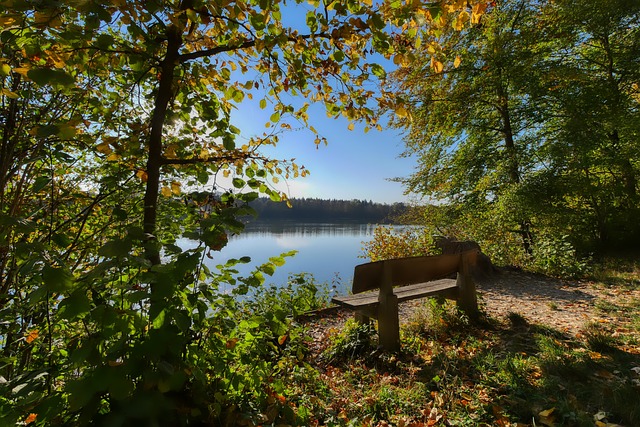 这一操作不 这一操作不