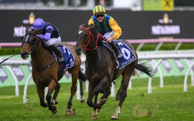 篮球场上的 篮球场上的